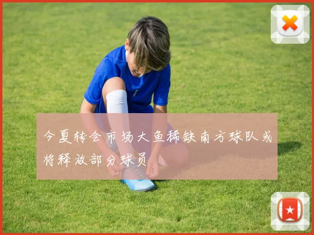 今夏转会市场大鱼稀缺南方球队或将释放部分球员