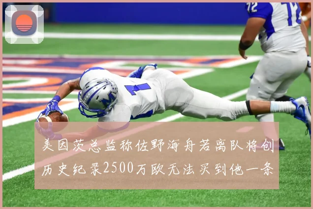 美因茨总监称佐野海舟若离队将创历史纪录2500万欧无法买到他一条腿